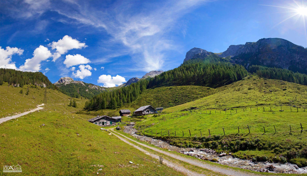 Hauseigene Alm in Flachauwinkl, Flachau