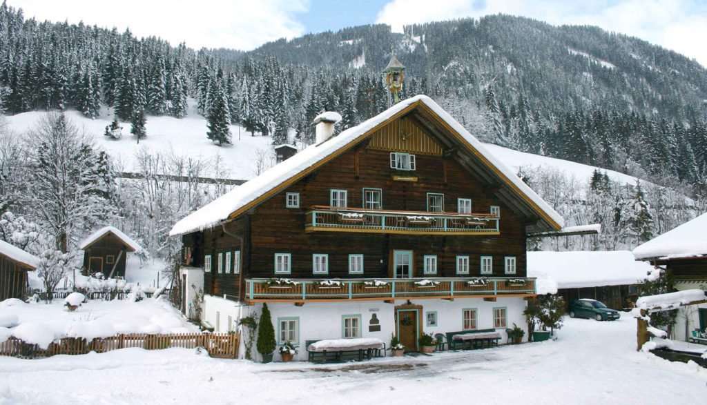 Bauernhofurlaub in Flachau, Flachauwinkl