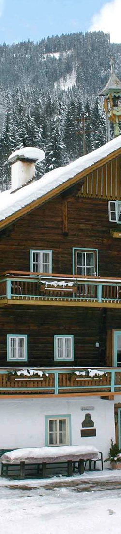 Bauernhofurlaub in Flachau, Flachauwinkl