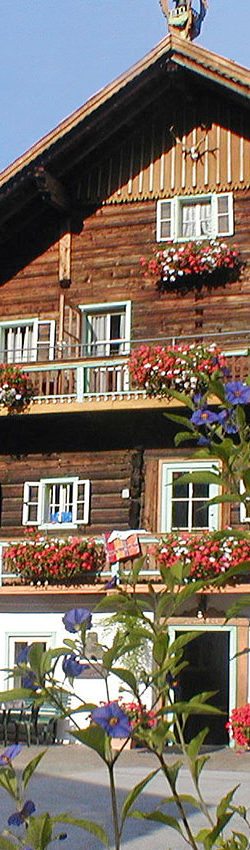 Bauernhof Gindlgut, Flachauwinkl