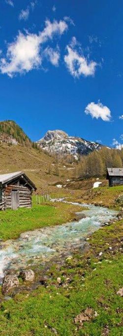 Hauseigene Alm in Flachauwinkl, Flachau